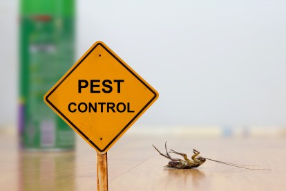 Pest Contol in Ashford, TW15. Call Now 020 8166 9746
